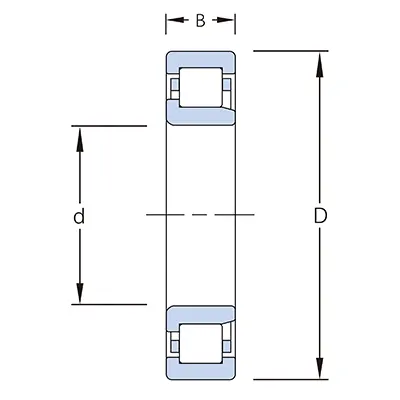 bearing CAD drawings or description of NJ206ECP