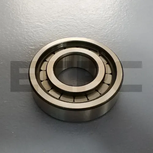 bearing photos of NCF3011V